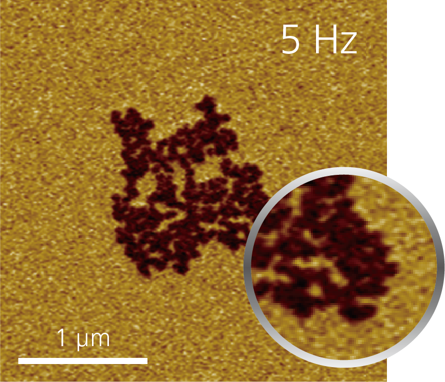 5 Hz